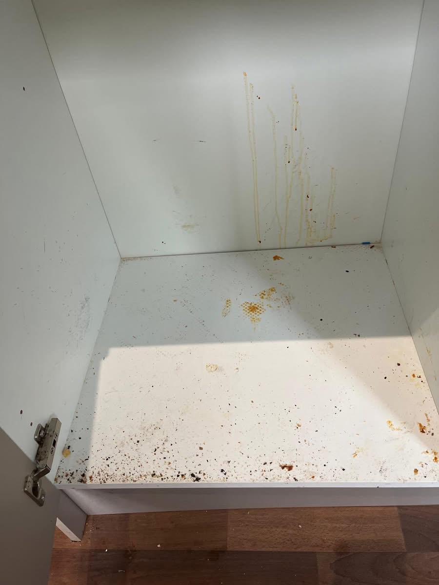 4e7e8680-847a-4709-803a-a7e846ca4e02