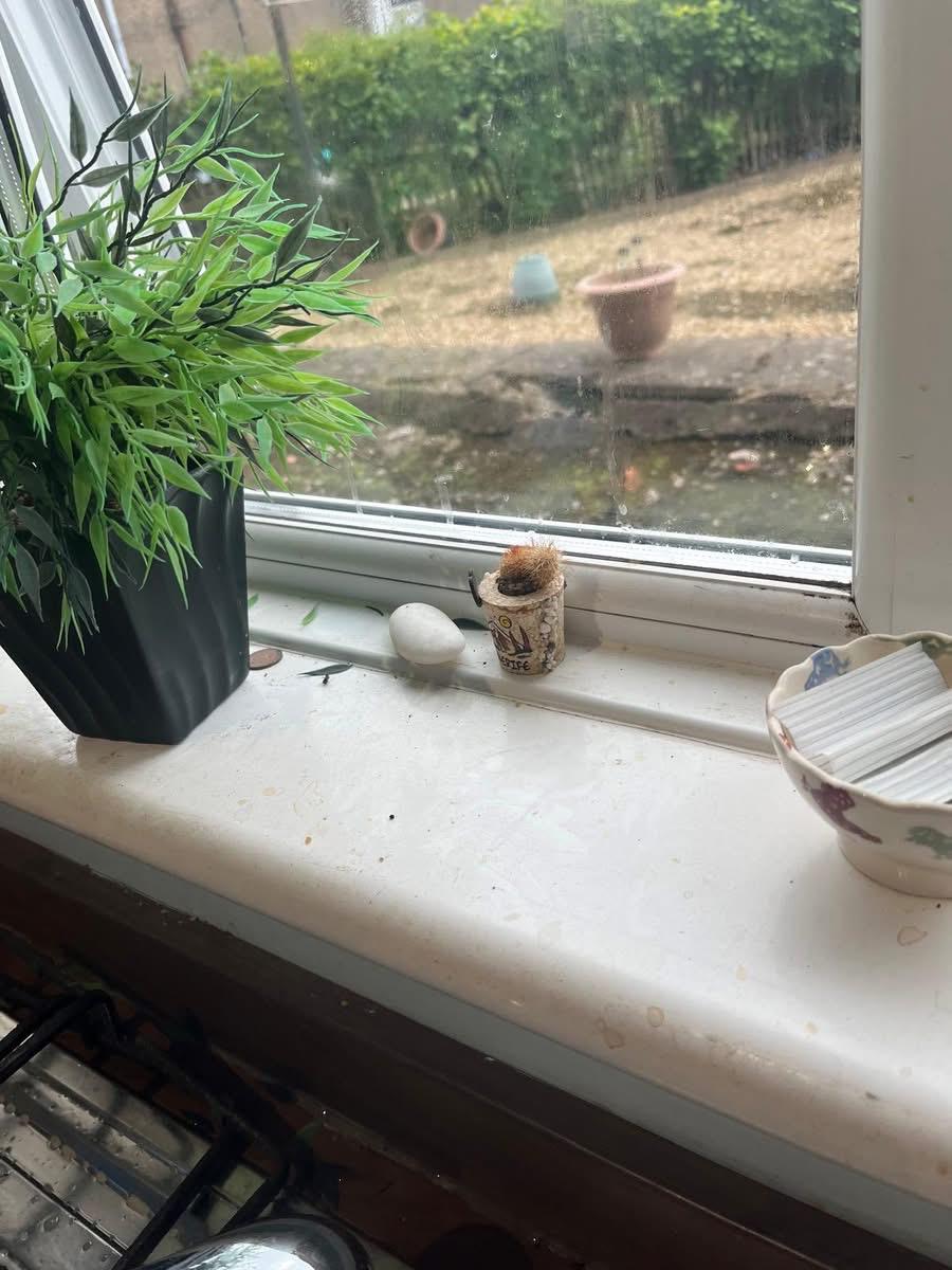 812c40ba-2cef-4f11-b7f1-4e826dd0578a